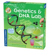 【英國T&K】越玩越聰明STEAM寶盒：德國製造 新版基礎遺傳學 基因和DNA