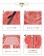 日本KIU 116909 粉紅色 空氣感雨衣/時尚防水風衣 附收納袋(男女適用)